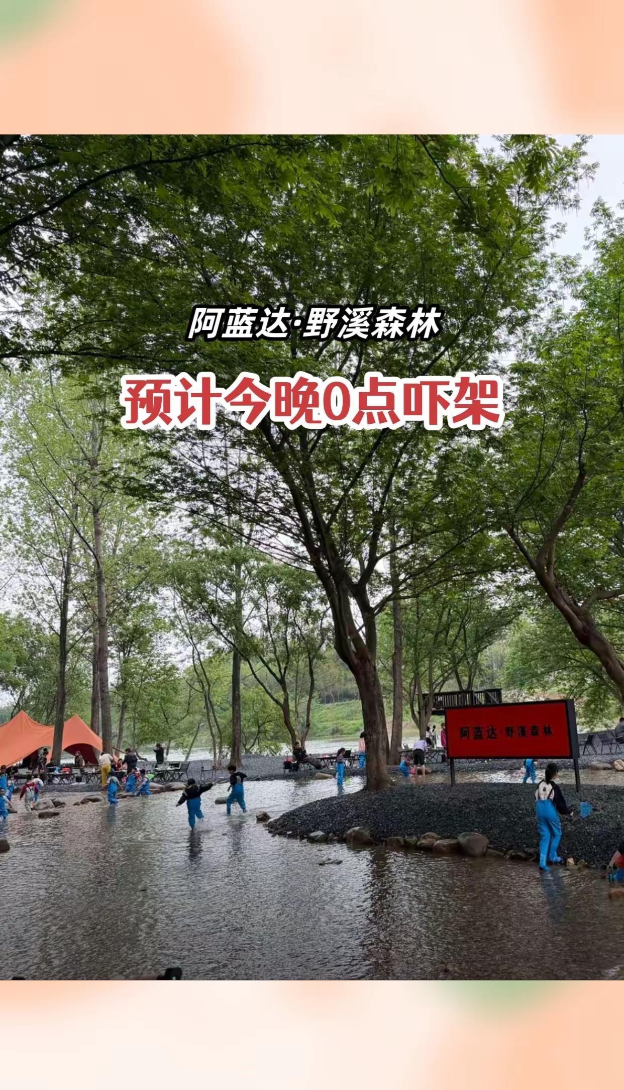 阿蓝达·野溪森林 阿蓝达野溪森林 阿蓝达 野溪森林 游玩攻略