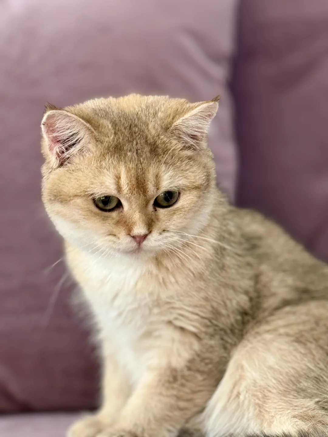 妈妈酱 我可爱嘛