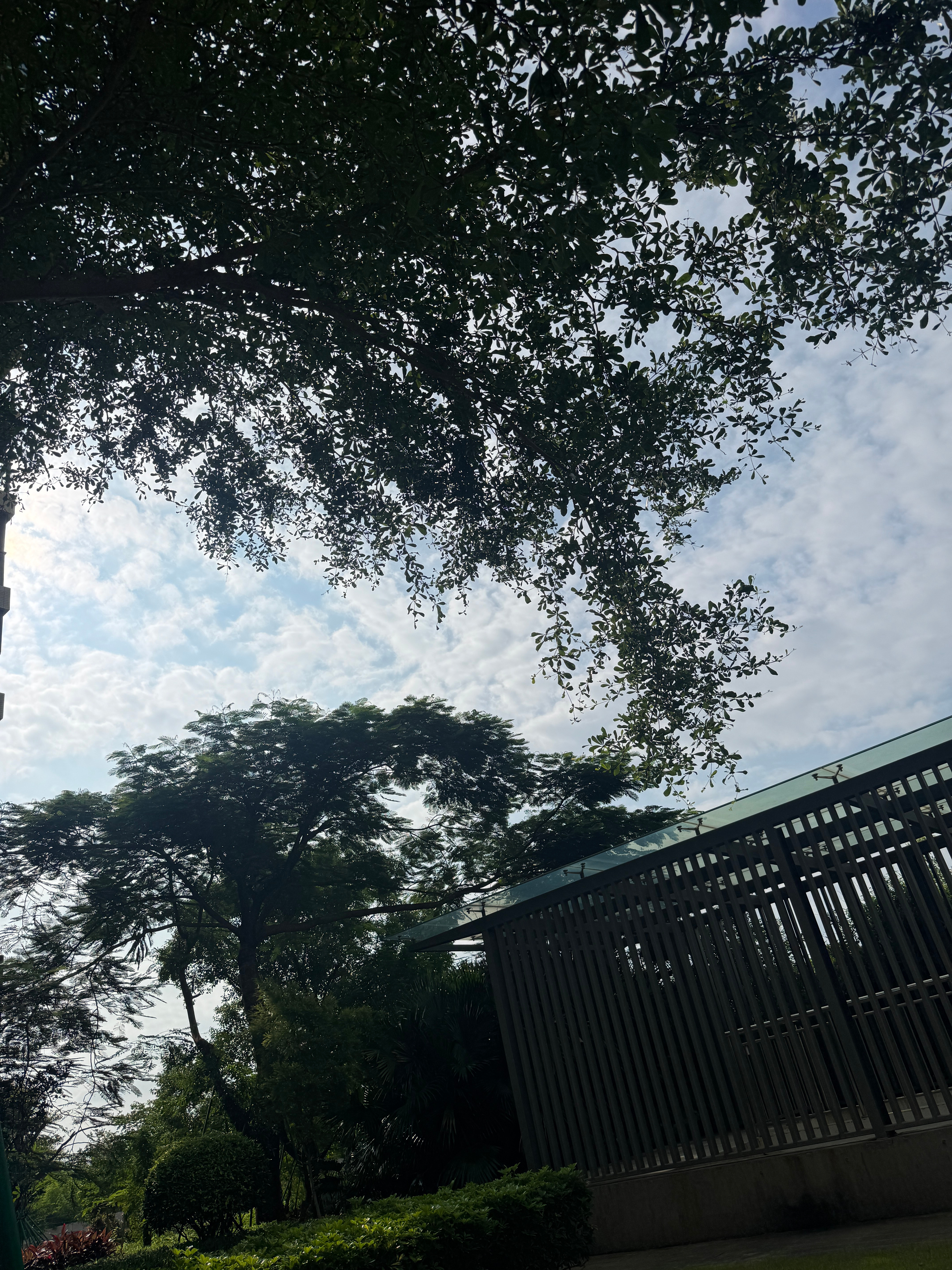 早安[超话]  早早早今天心情格外美丽，因为我女手术顺利，现在就希望她早日康复[