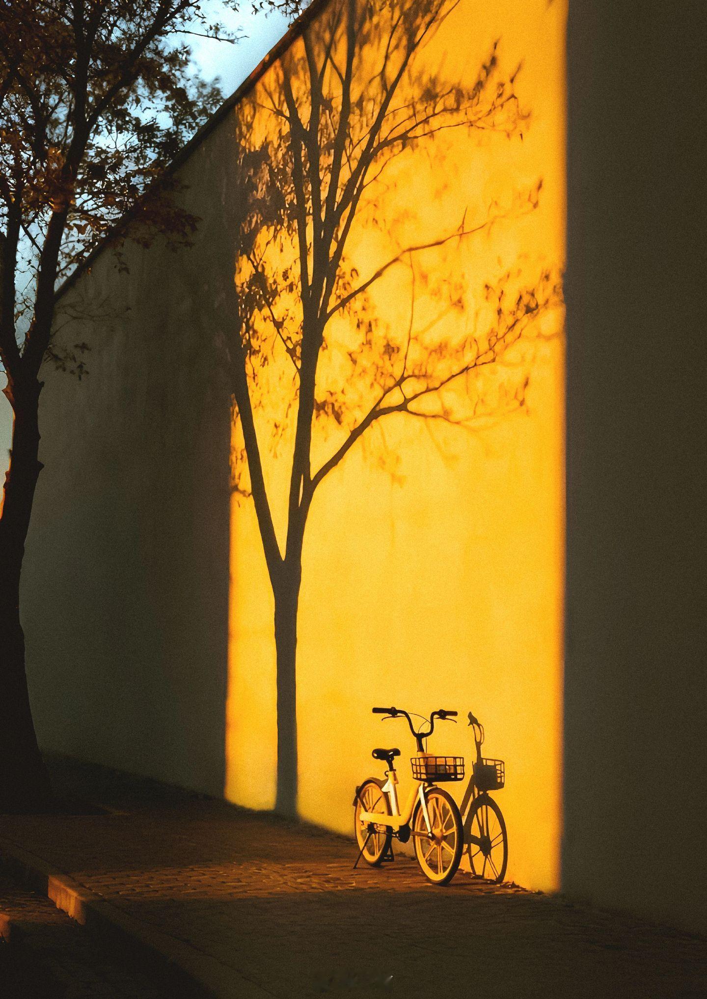 去爱让你感到平静和幸福的东西 小菌 沈阳