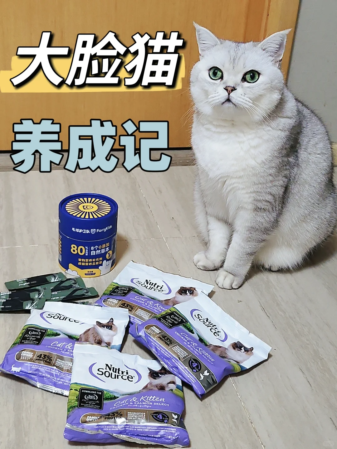 最近开始小崽们的增肥发腮大计