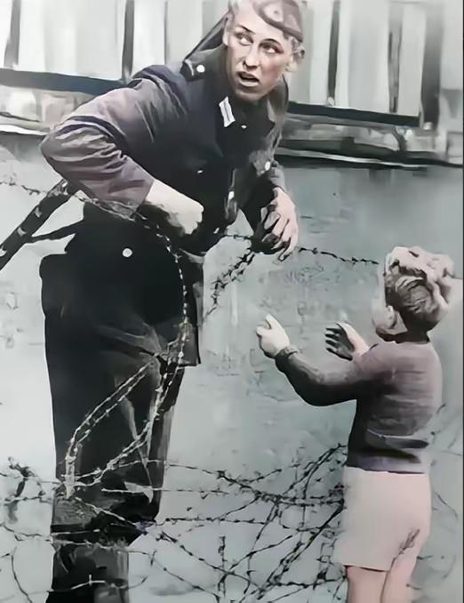 1961年，一名东德士兵，为一个素不相识的小男孩，冒险拉开柏林墙上的一道防线。谁