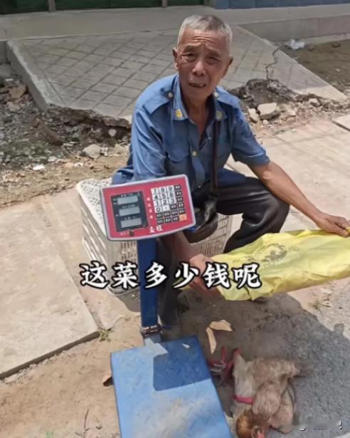 “看哭了！”2024年山东，儿子10多年前车祸去世，儿媳跟着人跑了！78岁大爷独