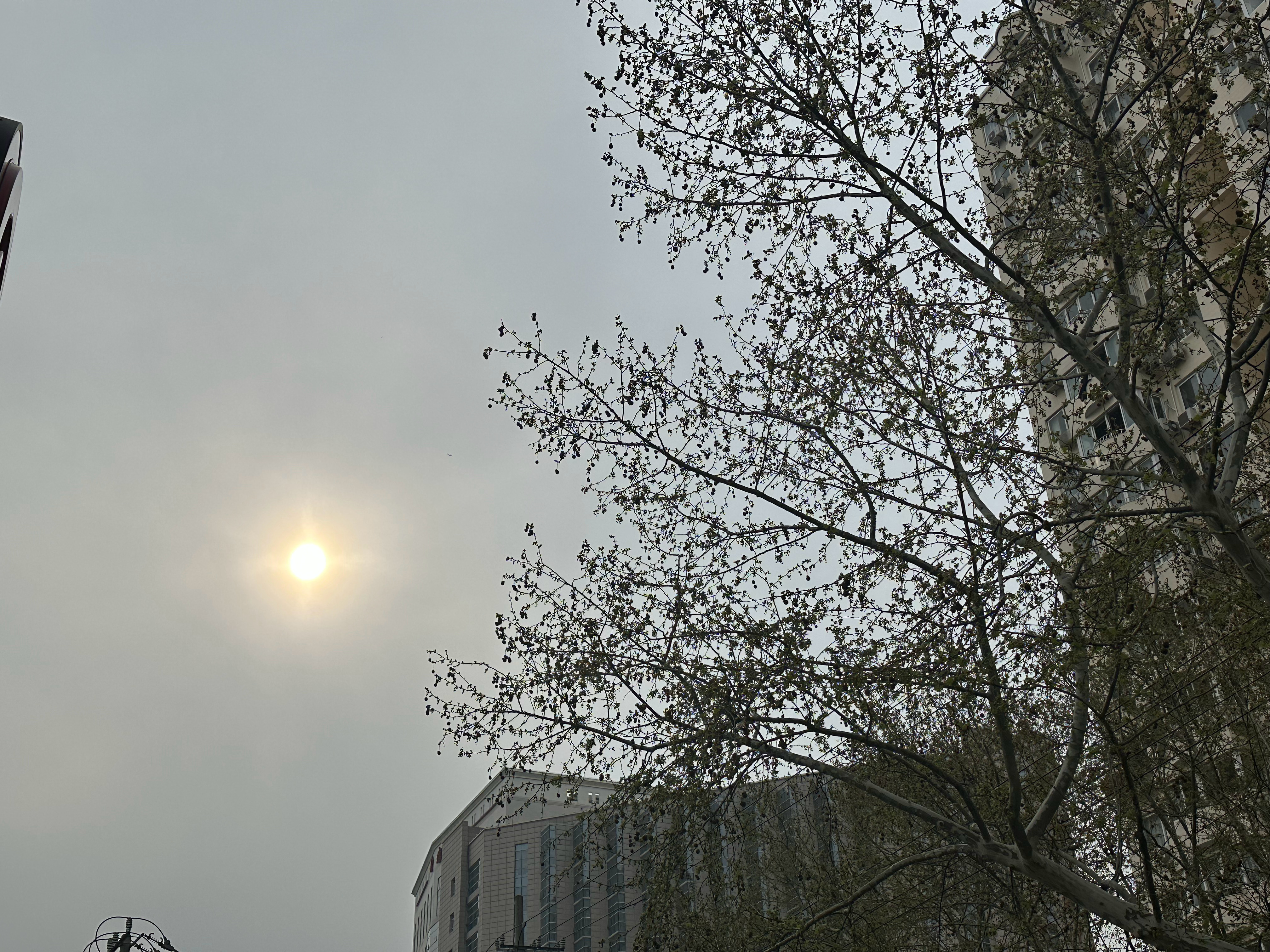 学到了，我明天试试看，能不能这样清明拼假4天休9天