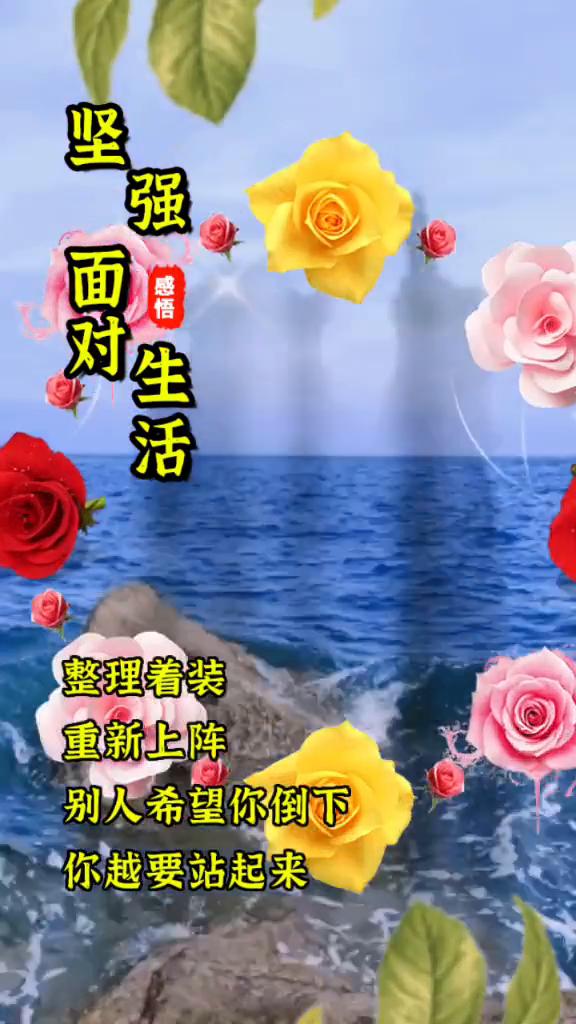 坚强感悟。
今天是十二月二十七日星期六，早安。人就是会越来越顺的，只要你调整好自