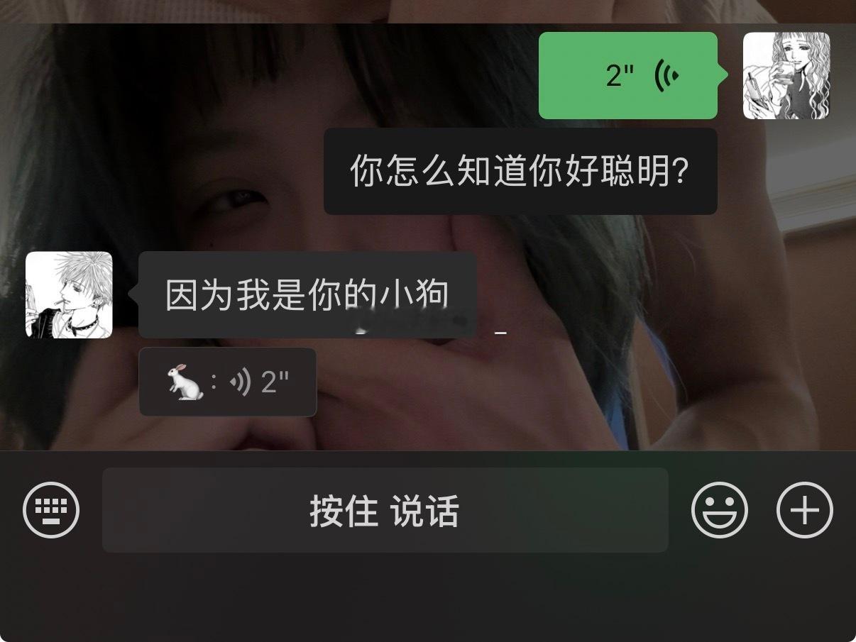 小狗总会随叫随到因为小狗自从被你带回家后 就一直独自在家里等你回家。 