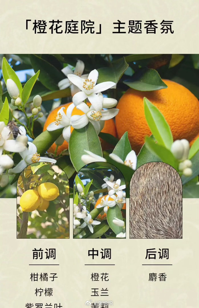 朋友仓库有一批橙花味沐浴露库存，只有300组。我赶紧让助理先把库存锁住了。需要的
