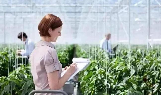 为什么现在要大规模的治理塔克拉玛干大沙漠，一个33万平方公里区域。以色列可以在沙