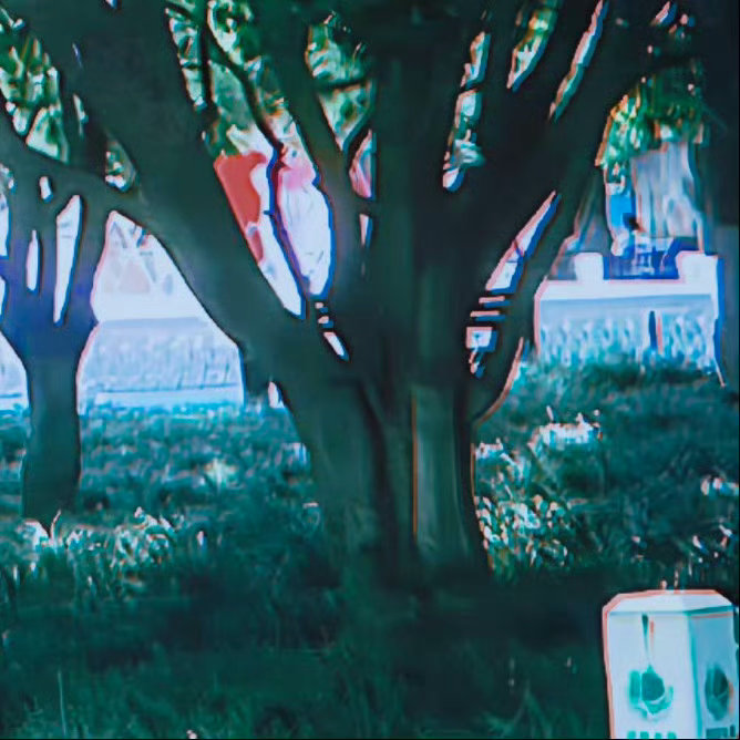 早安   🐾𓏭💐‧₊🌿𓂃꙳  “生活的真谛从来都不在别处，就是在日常一