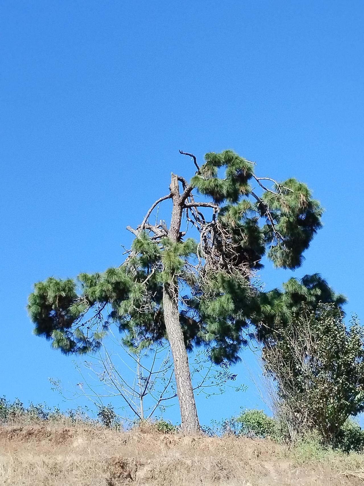 中国的科技成就便是这种精神的生动体现。曾经，我们在芯片技术上受制于他国，高端芯片