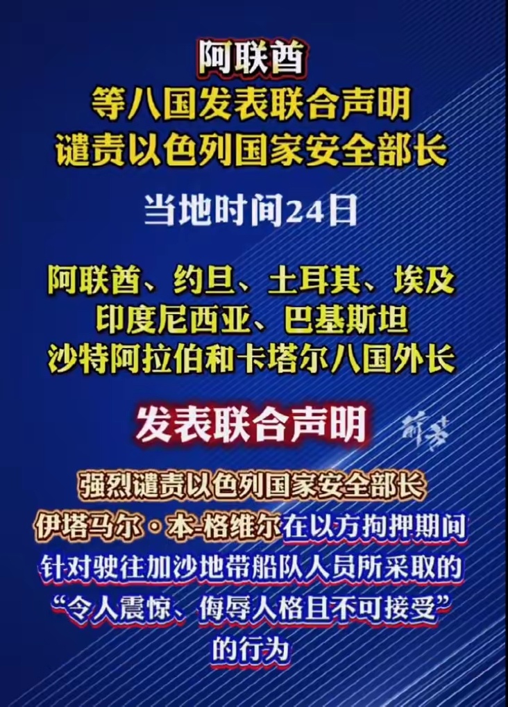 8国发联合声明24日，阿联酋、约旦、土耳其、埃及、印度尼西亚、巴基斯坦、沙特阿拉