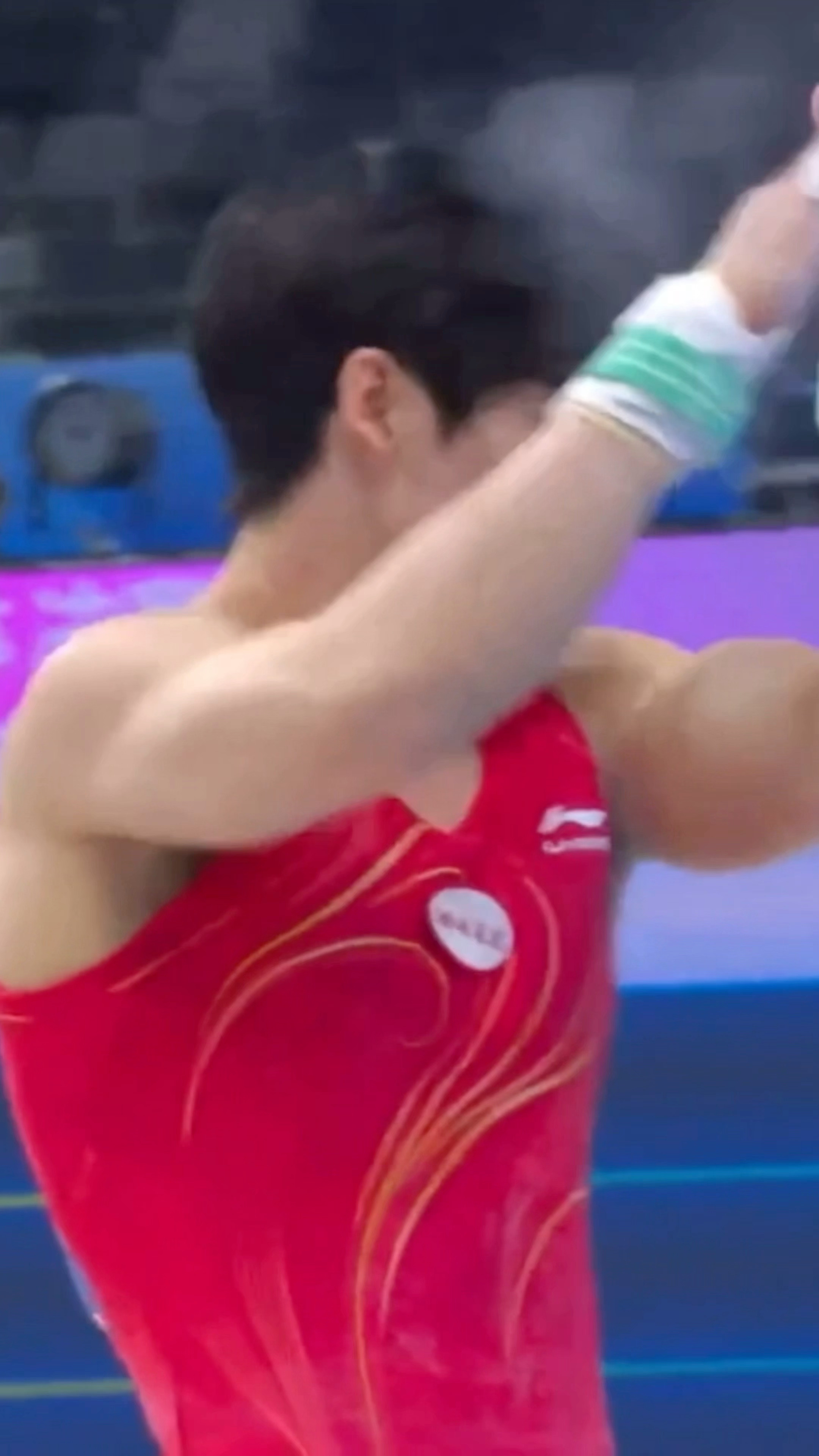 茶茶看起来有点疲惫的样子