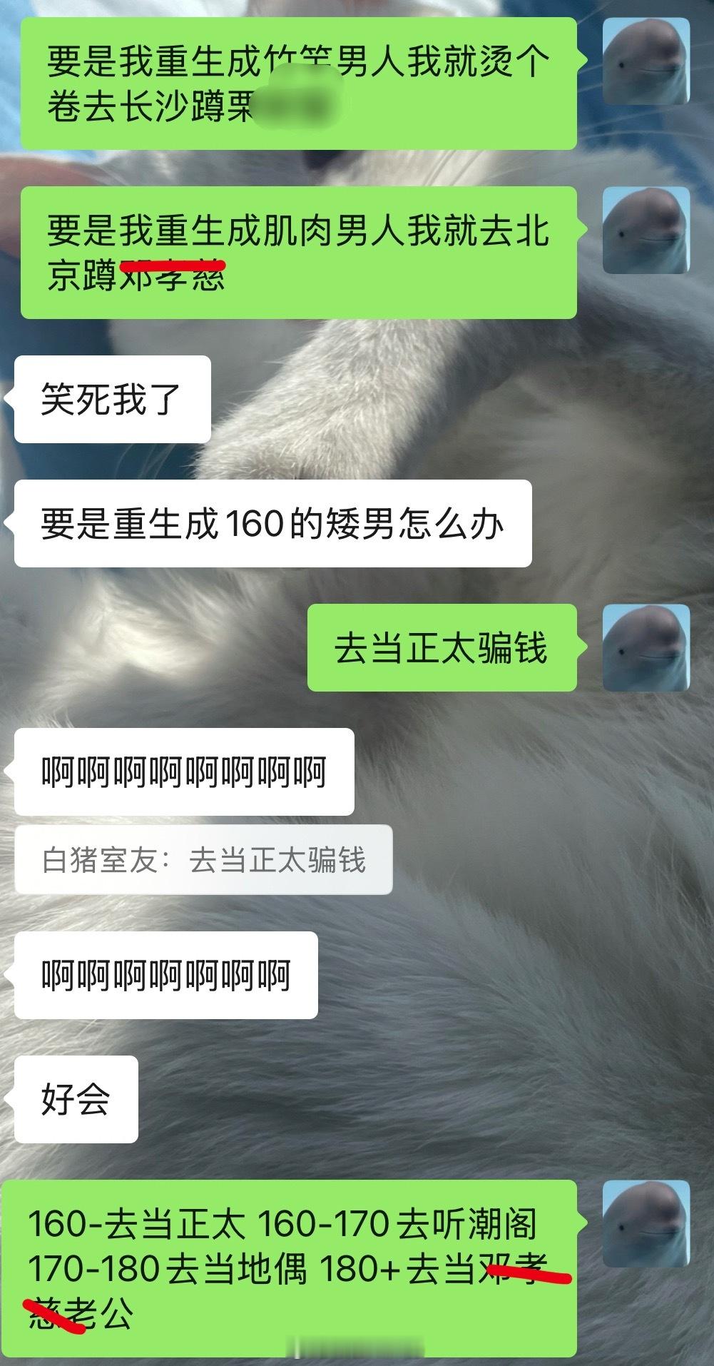 已规划 ​​​