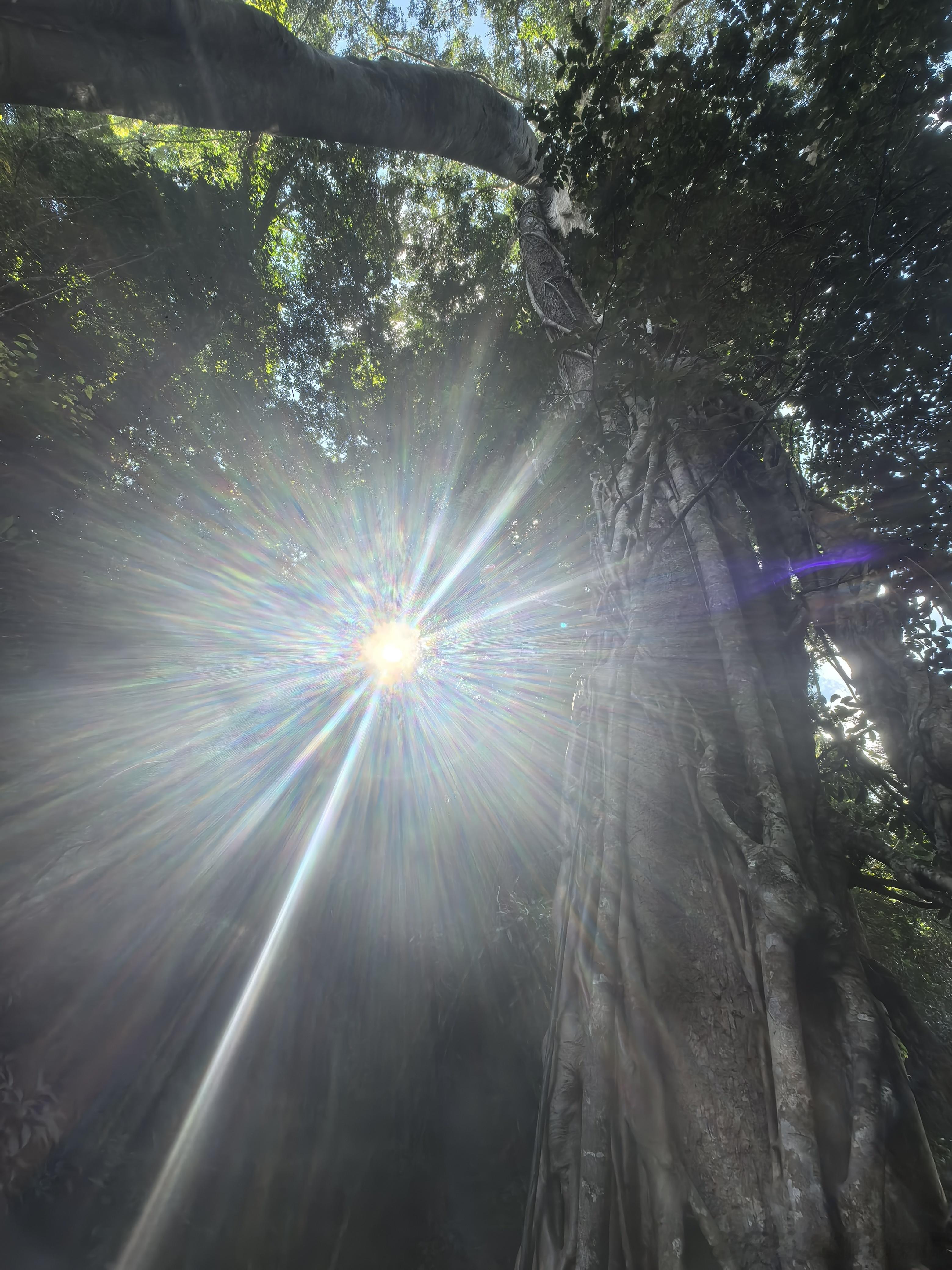 又是立春，波澜不惊，仿佛进入贤者时间 深圳