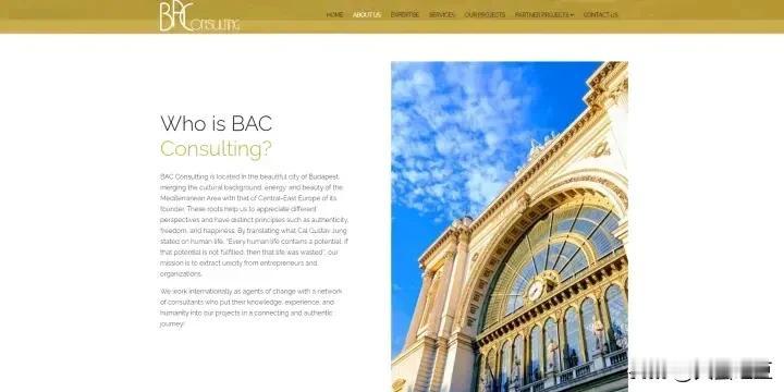匈牙利Telex网站找到了金阿波罗所说的贴牌生产其寻呼机的欧洲BAC公司总部(图