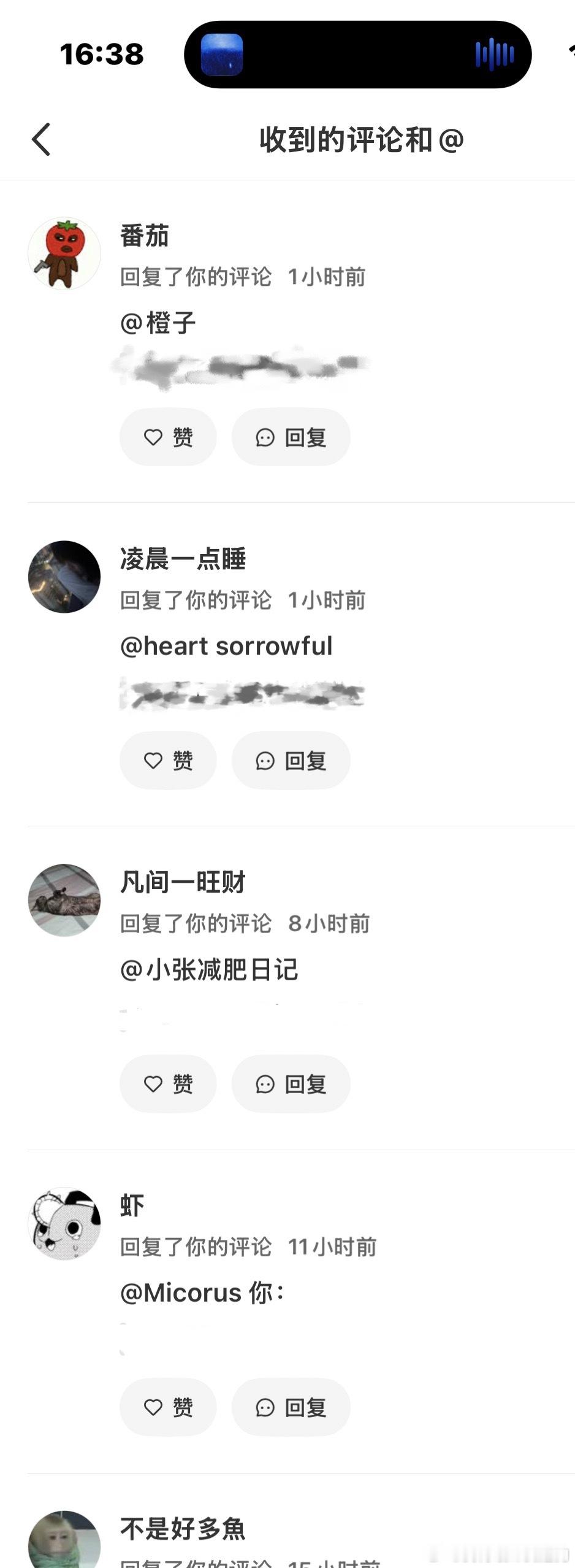 谁允许你们在我的评论下面调情了