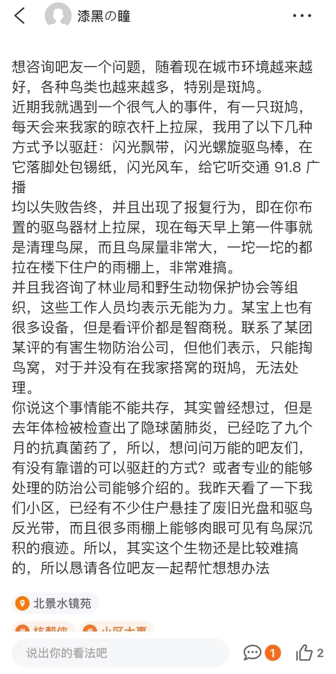 男子因驱赶斑鸠筑巢被其“报复”：每天都来我家 试尽方法都不管