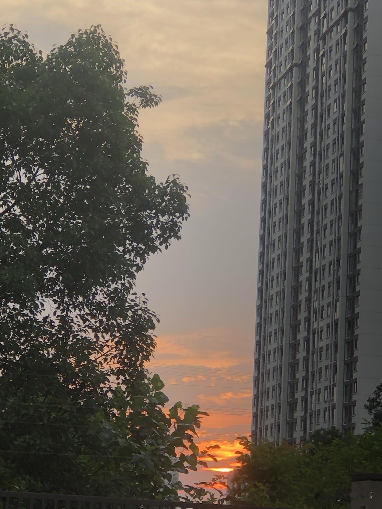 傍晚站在小区里随手拍常州的晚霞，夕阳把天边染成暖暖的橘红色。高楼、绿树衬着漫天柔
