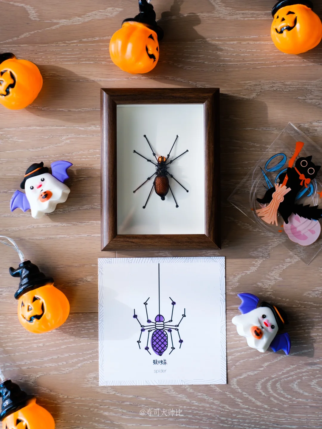 给小猫的节日礼物｜万圣节限定蜘蛛🎃
