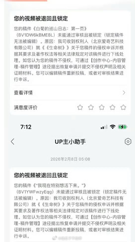 杨紫《生命树》二创视频怎么被退回了