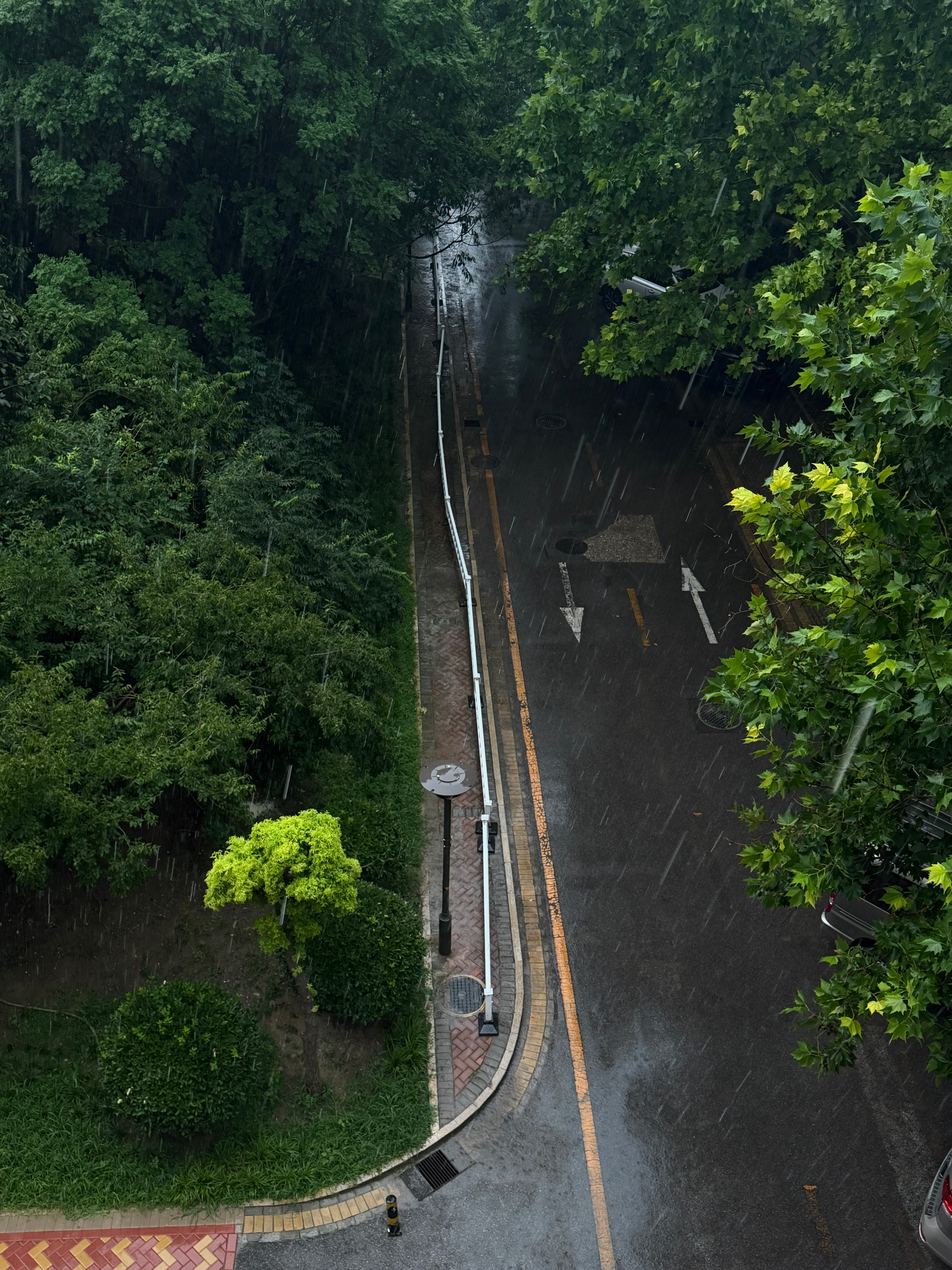 好喜欢下雨好喜欢 