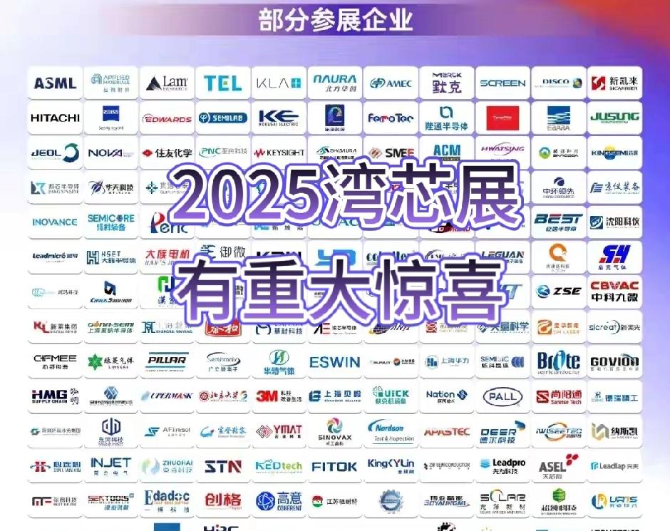 台积电—台湾引以为傲的经济支柱
好日子要到头了。
稀土加强管制背后，
可能是我国