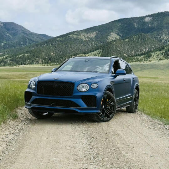 这配色 你受的了吗！