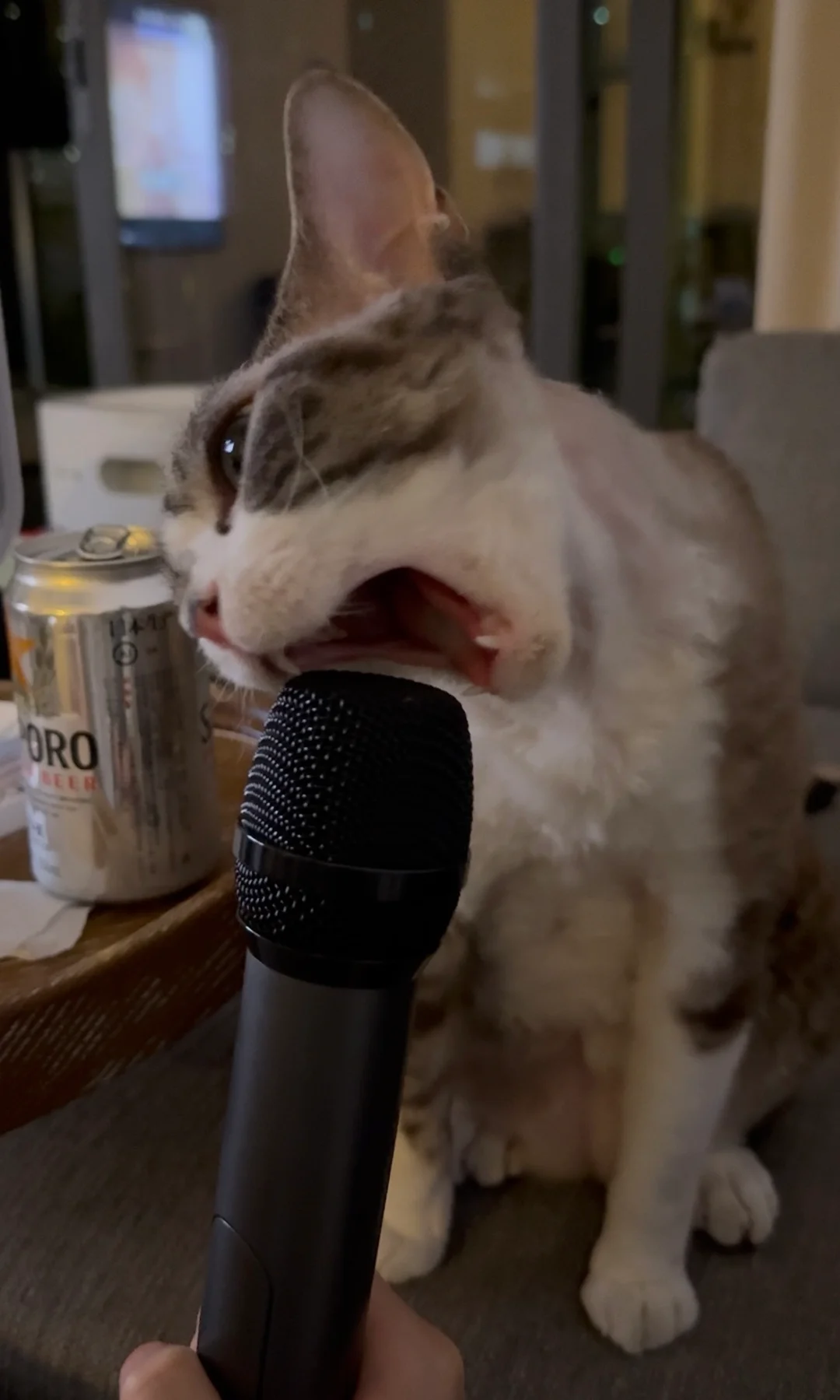 歌手2025冠军疑似损坏麦克风🏆