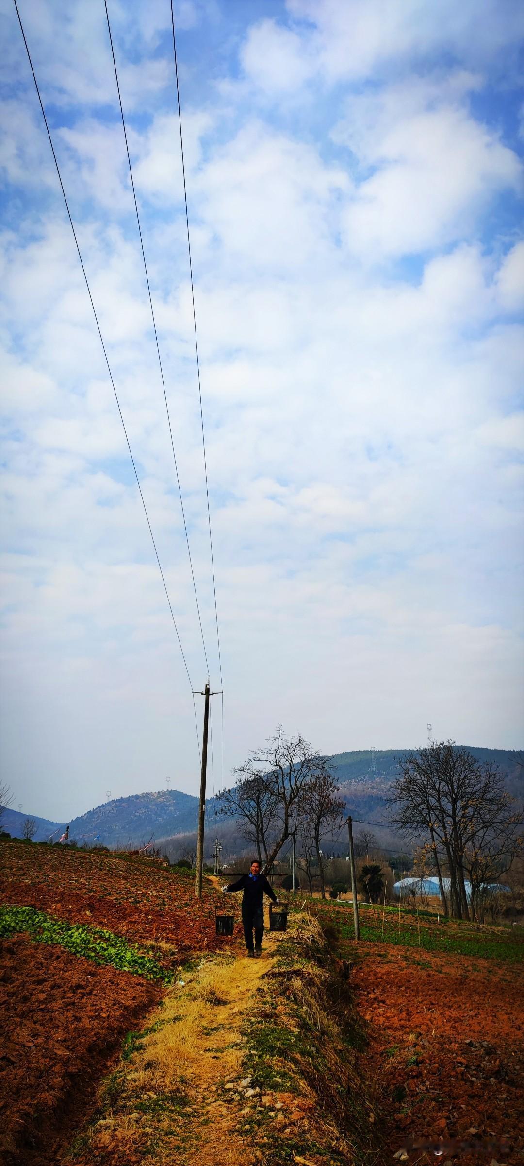 冬日生活打卡季陈村水库的南侧是田野，农户挑着粪桶归家。“现在，地里的油菜要追肥。