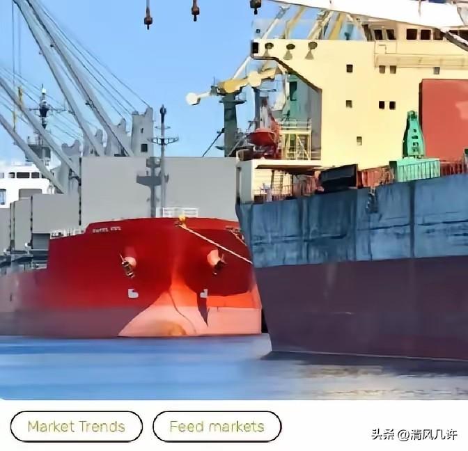 解释不清了！在中国口岸，一艘满载6.9万吨巴西大豆的货轮被查出混入农药处理的麦粒