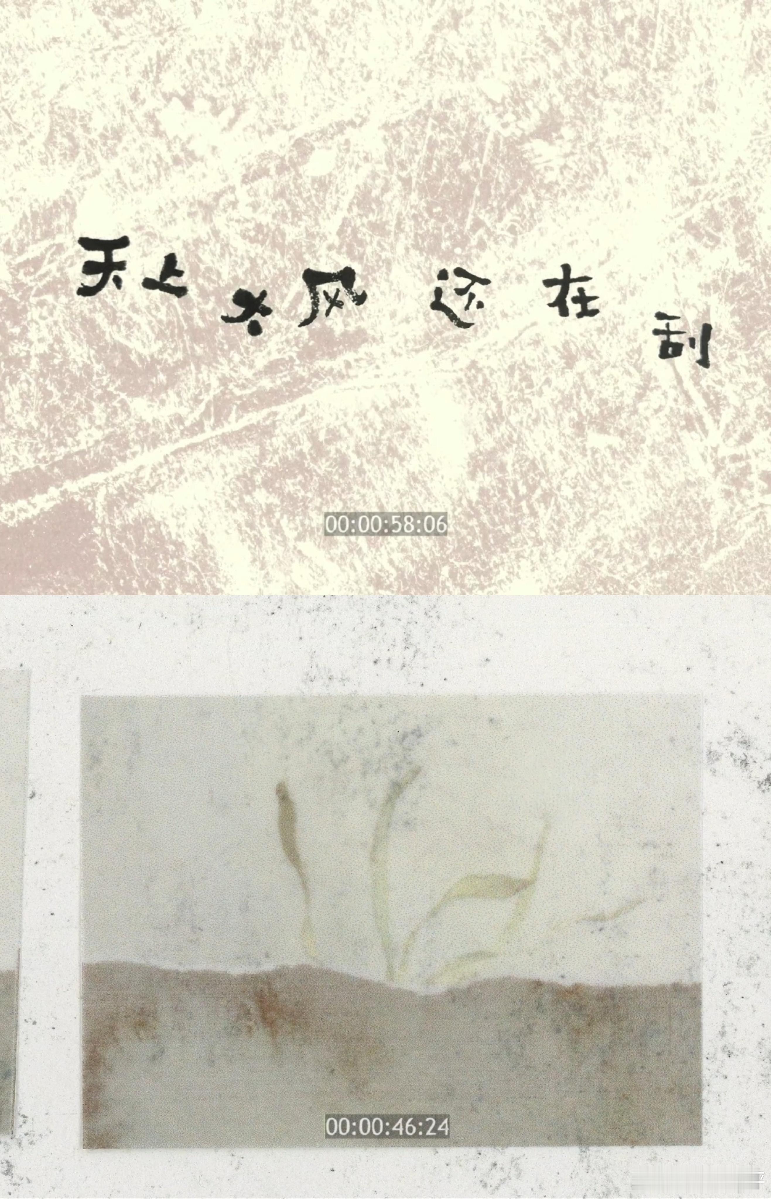 易烊千玺[超话]易烊千玺的影像完全是审美积累不得不说易烊千玺的影像很有看点，镜头