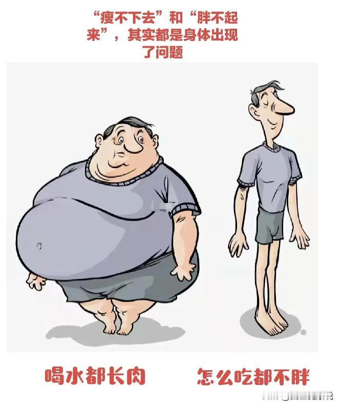 胖不起来？瘦不下去？都因为这个！
 
有一种凡尔赛叫做吃什么都吃不胖，有一种命苦