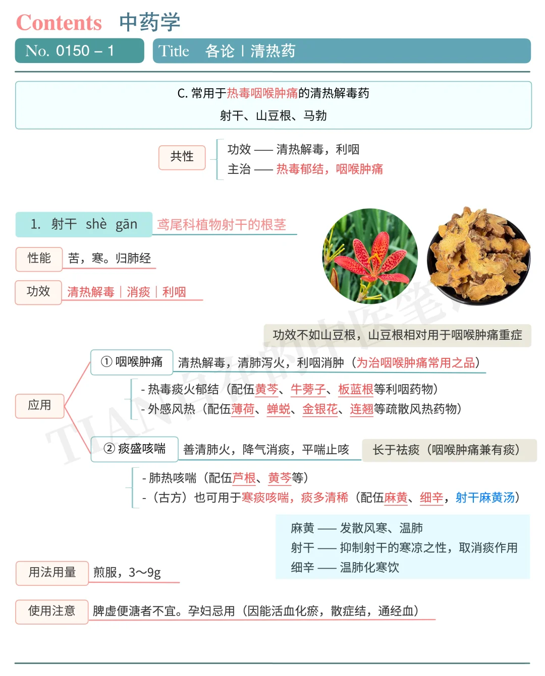 学中医第150天｜清热解毒药（下）