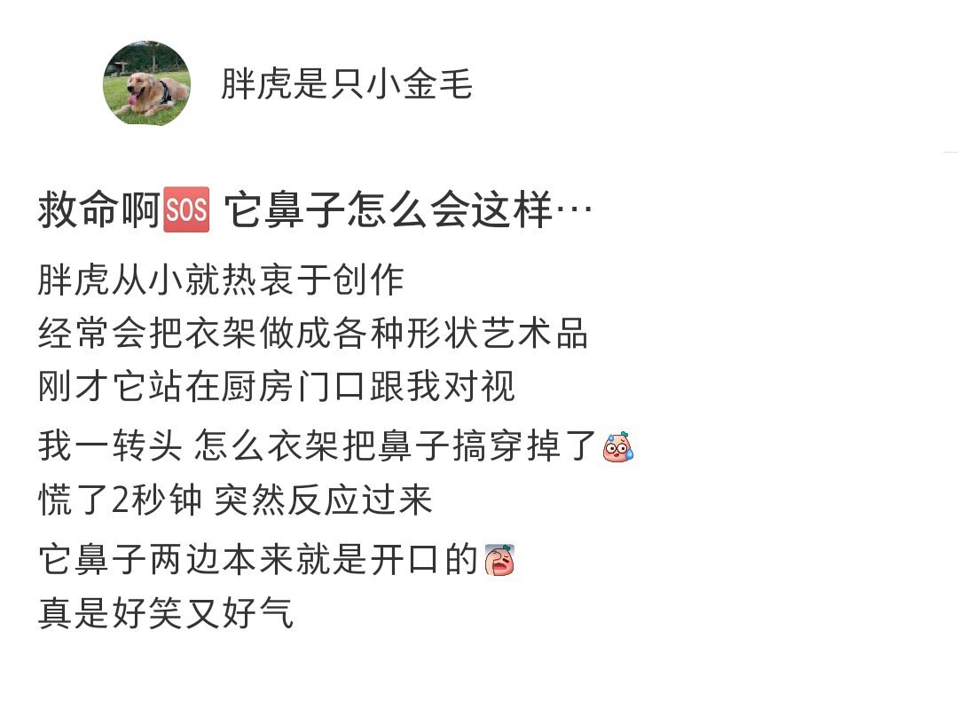 以为衣架把小狗鼻子戳穿了[跪了] ​​​