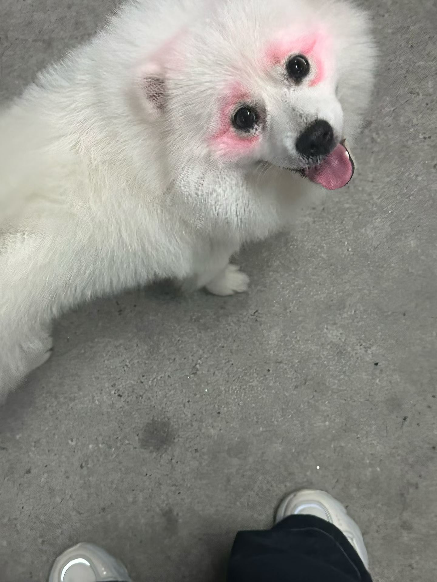 还画上妆了 