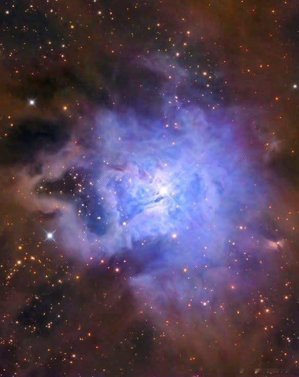 宇宙杰作背后的天体物理学：鸢尾星云乍一看，这张图像就像纯艺术——一朵飘浮在黑暗中