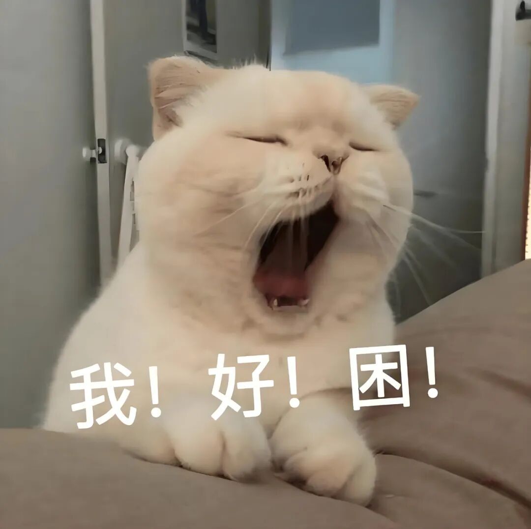 起太早了，每分每秒都很困，确实不能尝试早起，一天都会没精神