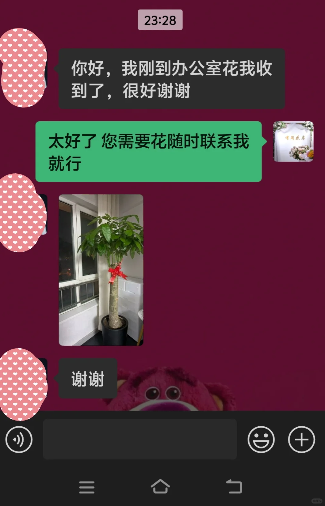 买家秀❤️发财树❤️乌鲁木齐绿植❤️