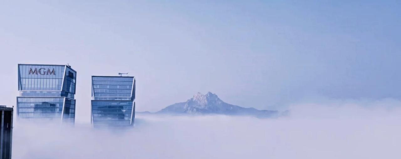 今日大雾
一起看云海 平流雾