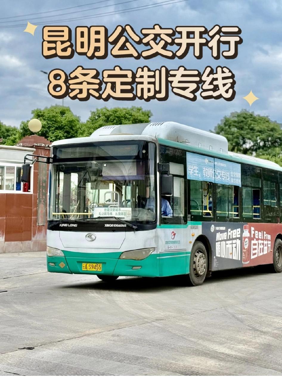 清明节快到啦，昆明公交集团很贴心，3月21日起全面开行8条定制扫墓公交专线。
这