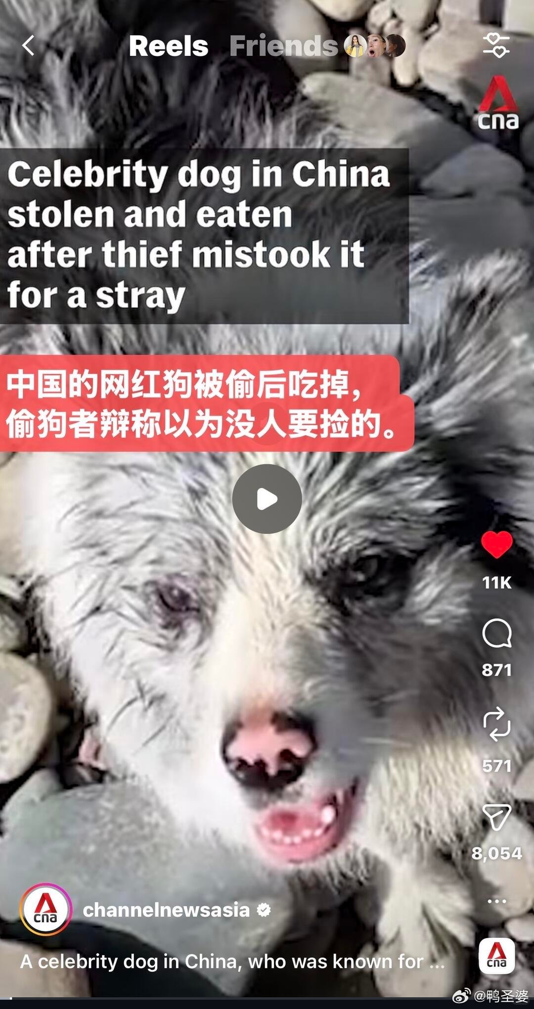 -channelnewsasia（亚洲新闻台）报道了“锄头事件”，阅读近百万，点