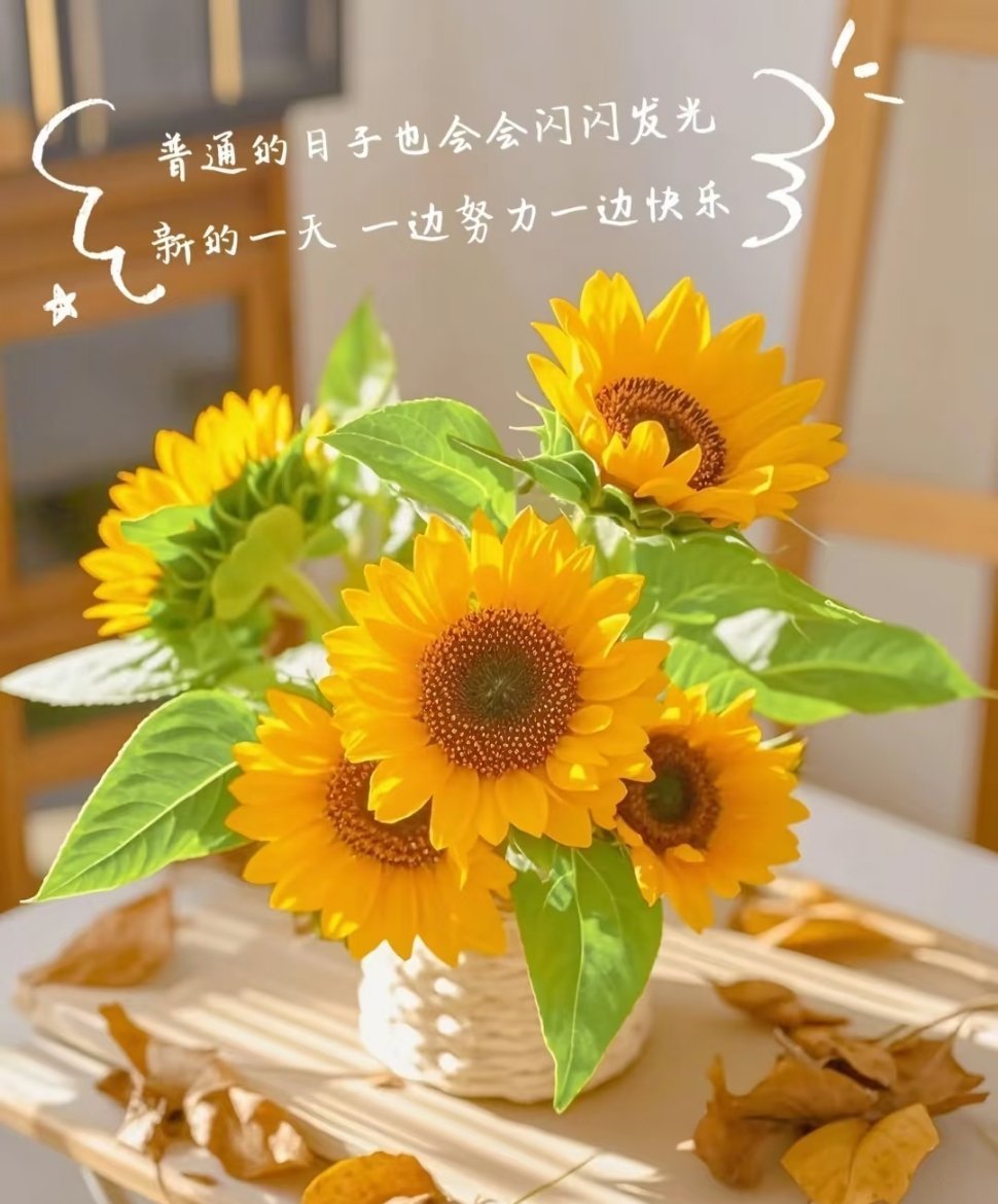 早安早安中国早安心语   好好生活、慢慢相遇，山高路远，总有人追寻你而来。早安 