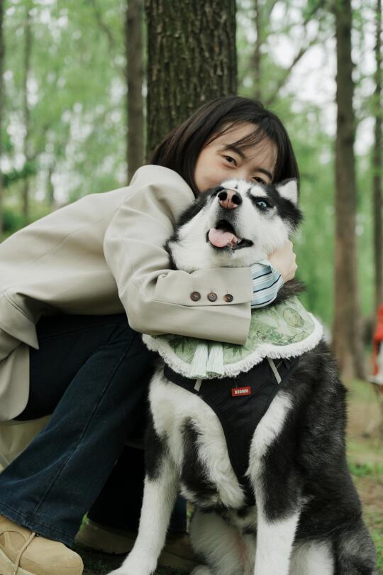 我这狗，除了好看一无是处