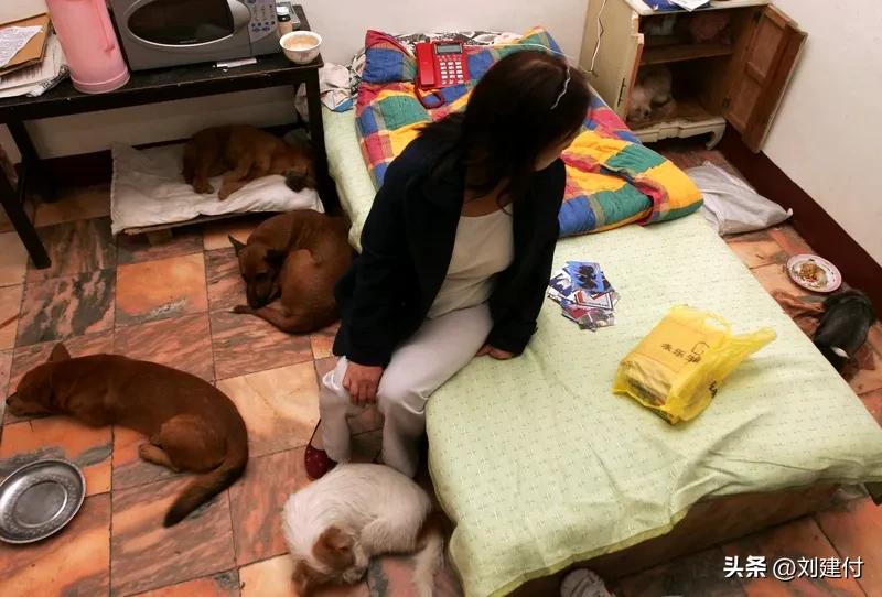 男子300公里高速发现62只猫狗尸体 2月25日，四川乐山的吴先生驾车从乐山前往