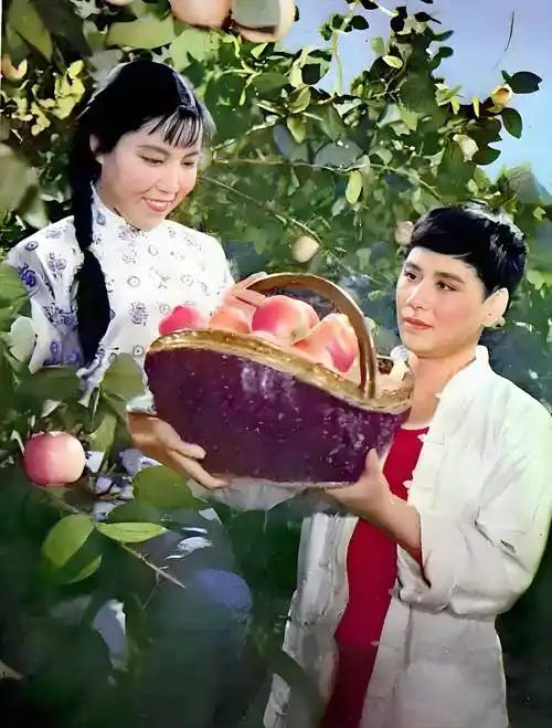 杨兰春是如何将魏云推向万众仰慕的艺术巅峰的？
如果说，《朝阳沟》是豫剧艺术的巅峰