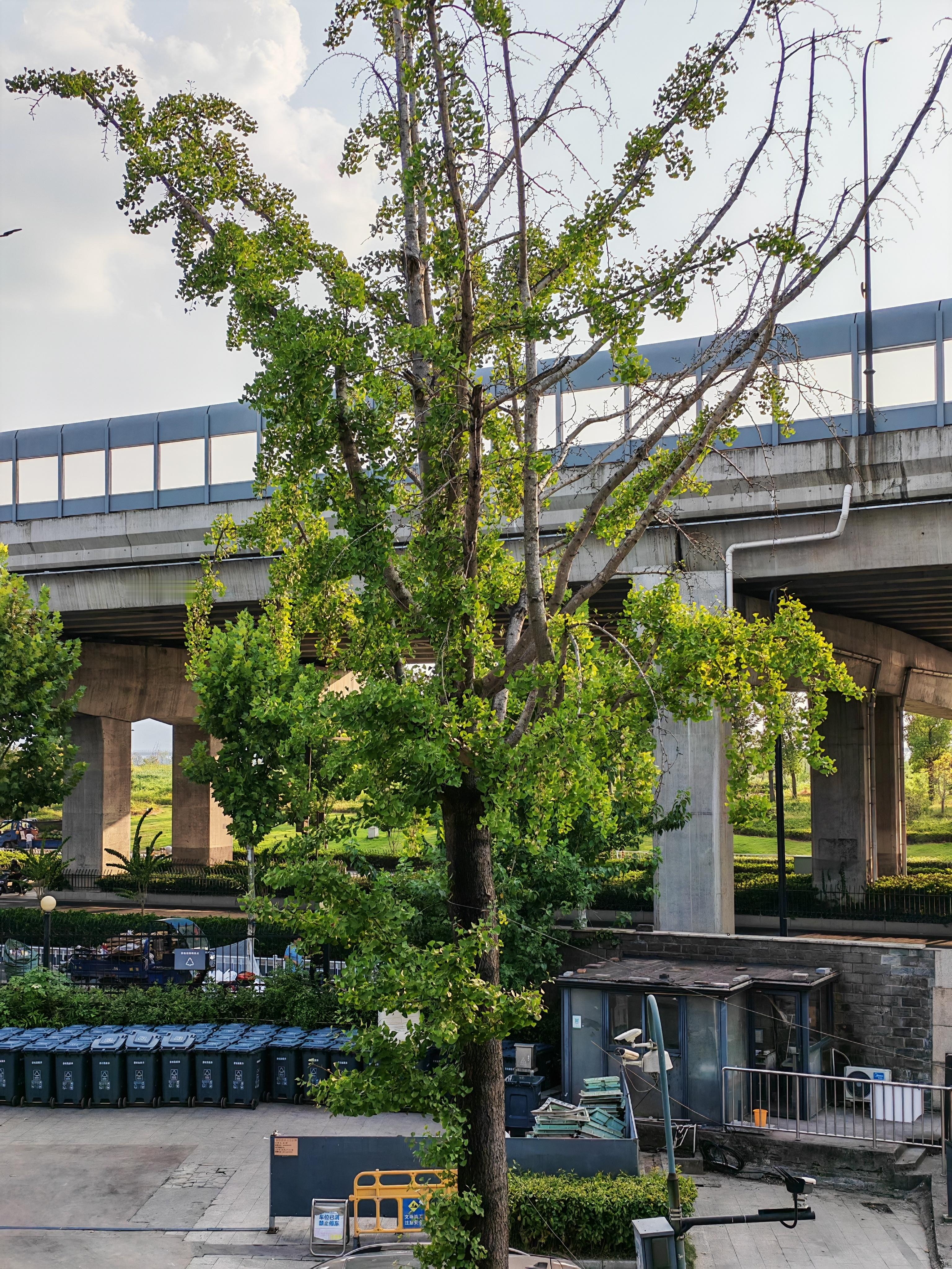 20块和2000块相机差距没有绝对好坏，毕竟20块自带颗粒感，自带怀旧氛围；20