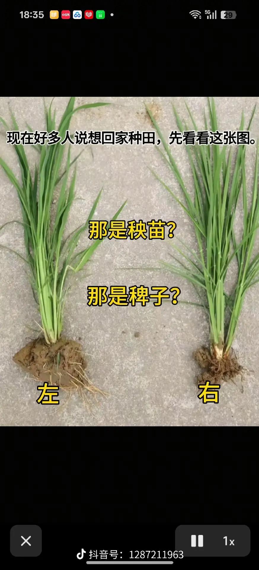 估计没几个人认识