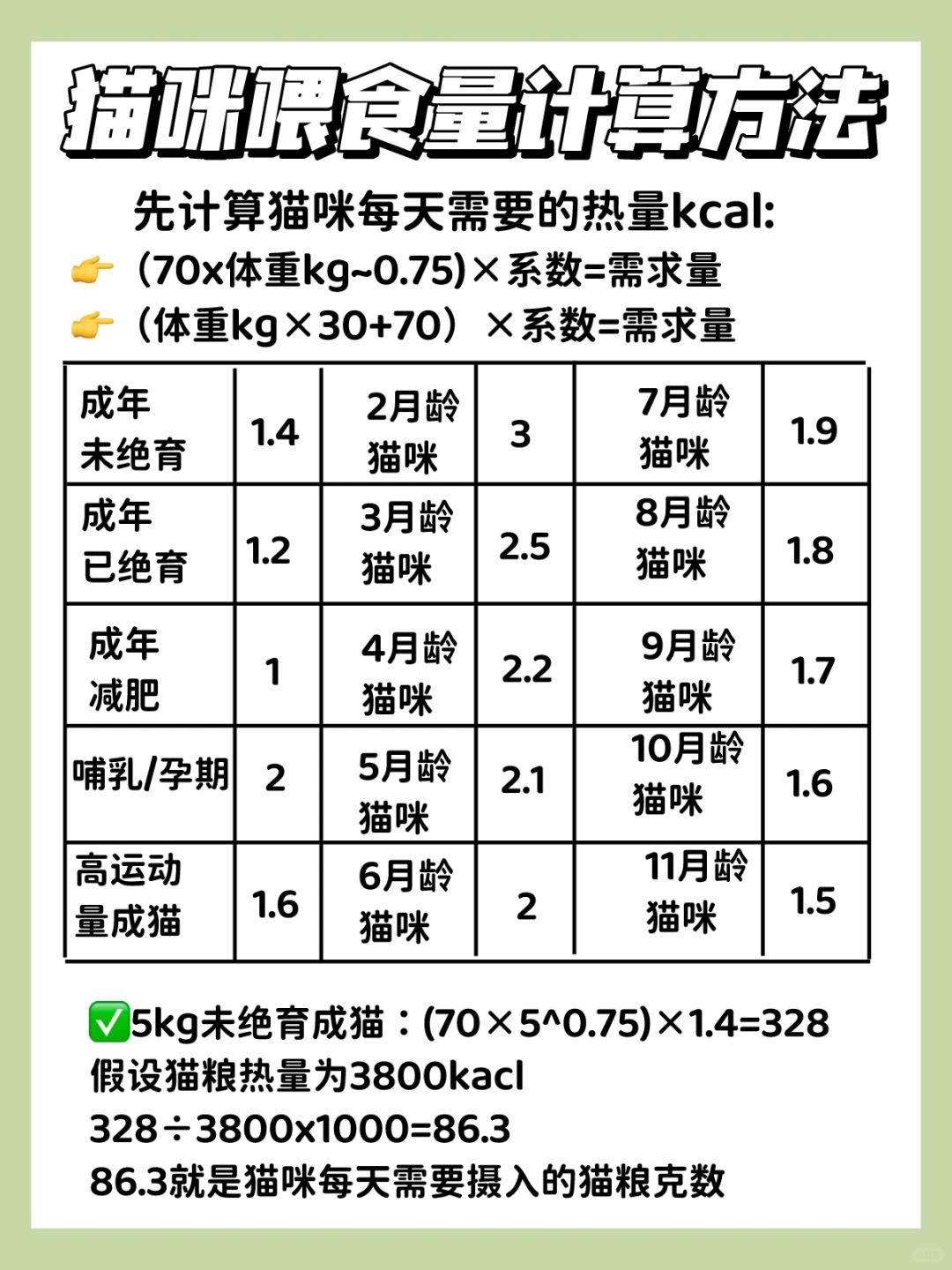 猫咪一天吃多少？热量计算方法分享
