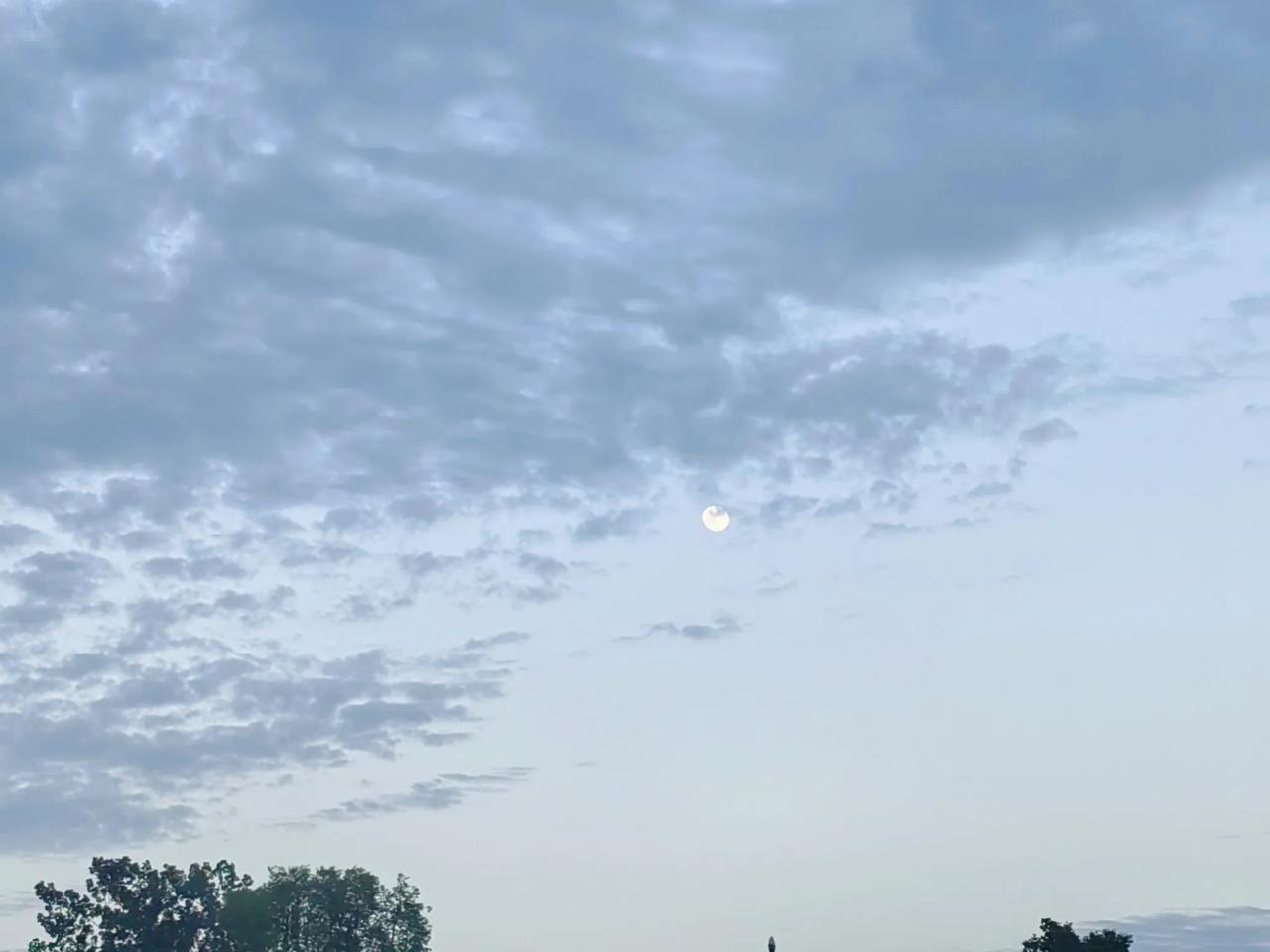 被蛇咬伤后保持冷静、限制患肢活动，立刻远离蛇，尽快就医，切勿切开伤口、吸毒液或捆