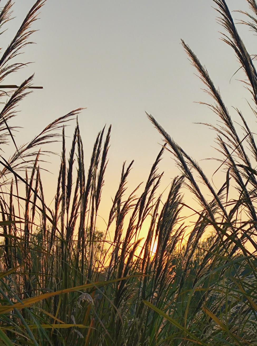 你发现没，写作黄金时代它来了，在头条上写作的好时候才刚开始。大海在退潮大家在随潮